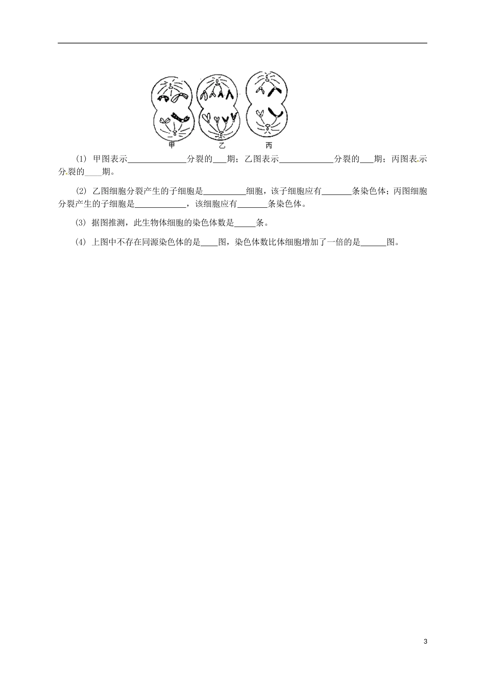 高中生物2.1减数分裂（第1课时）练习（必修2）_第3页