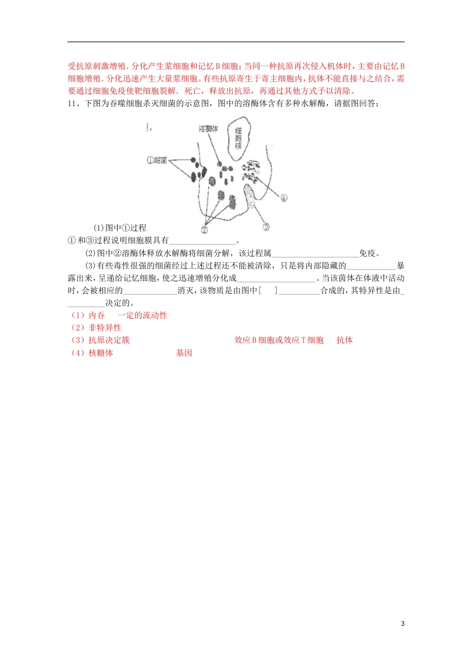 高中生物第二册5.4动物体的细胞识别和免疫学案（2）沪科版_第3页