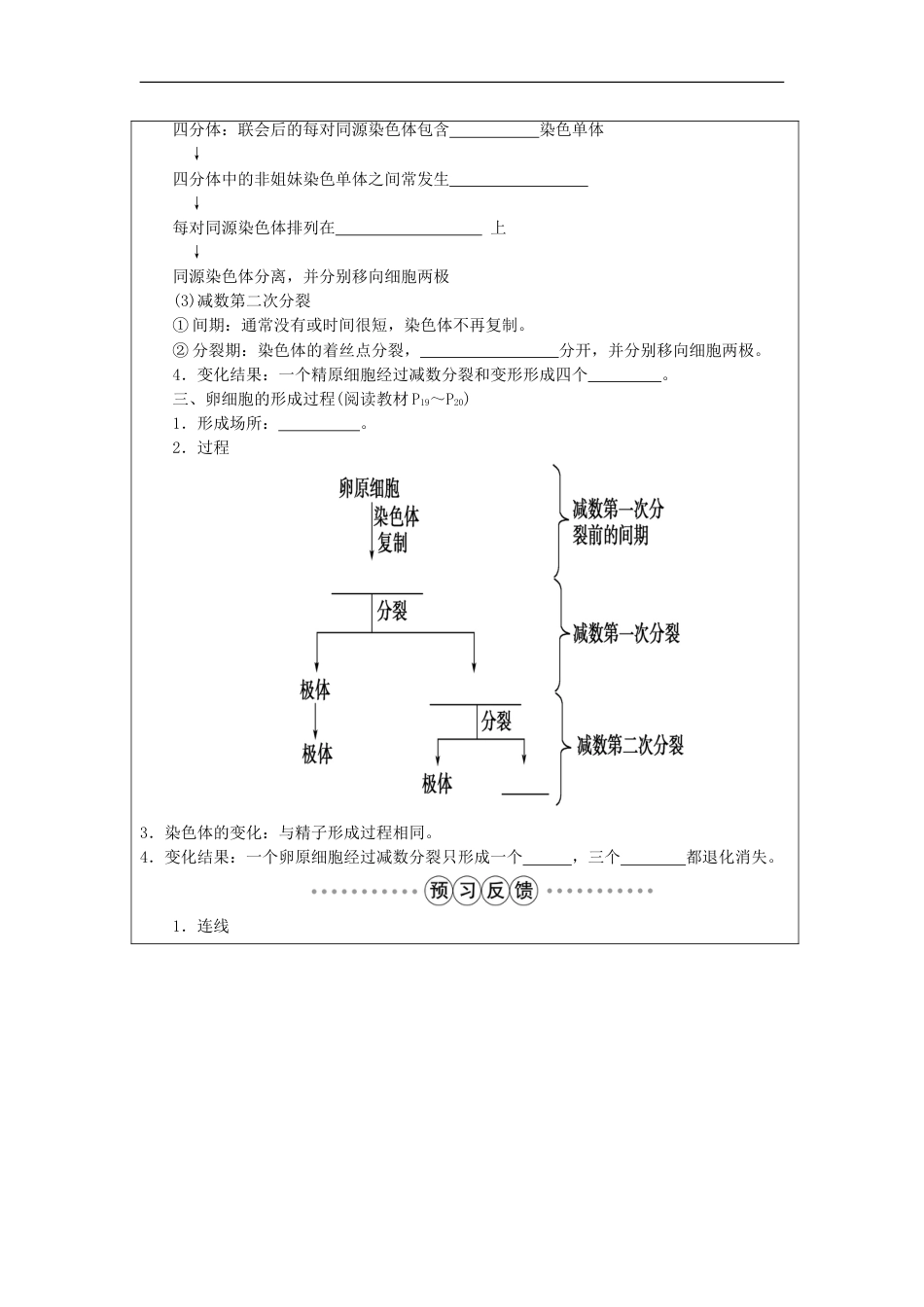 高中生物第二章基因和染色体的关系减数分裂学案新人教必修_第2页