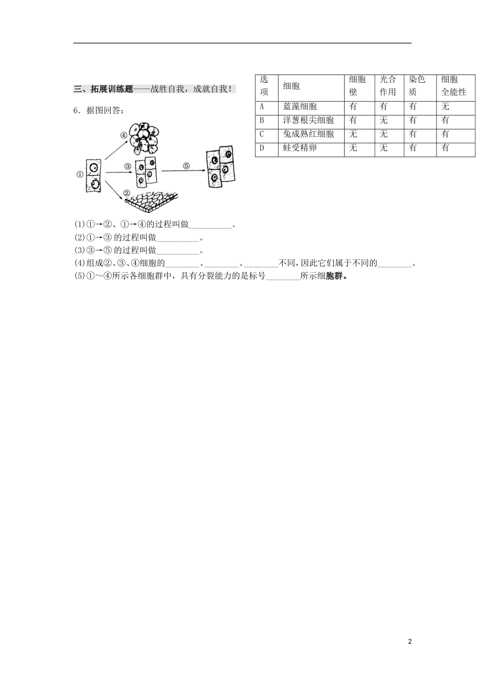 高中生物第六章细胞的生命历程第节细胞的分化习题新人教必修_第2页