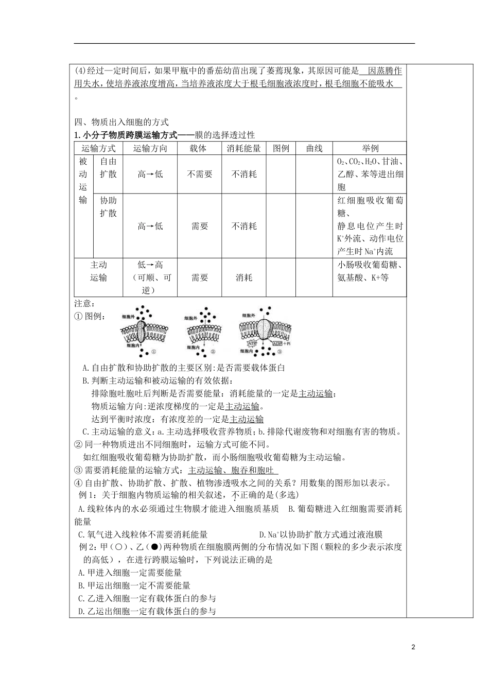 高中生物第4章细胞的物质输入和输出第3课时教案新人教必修1_第2页