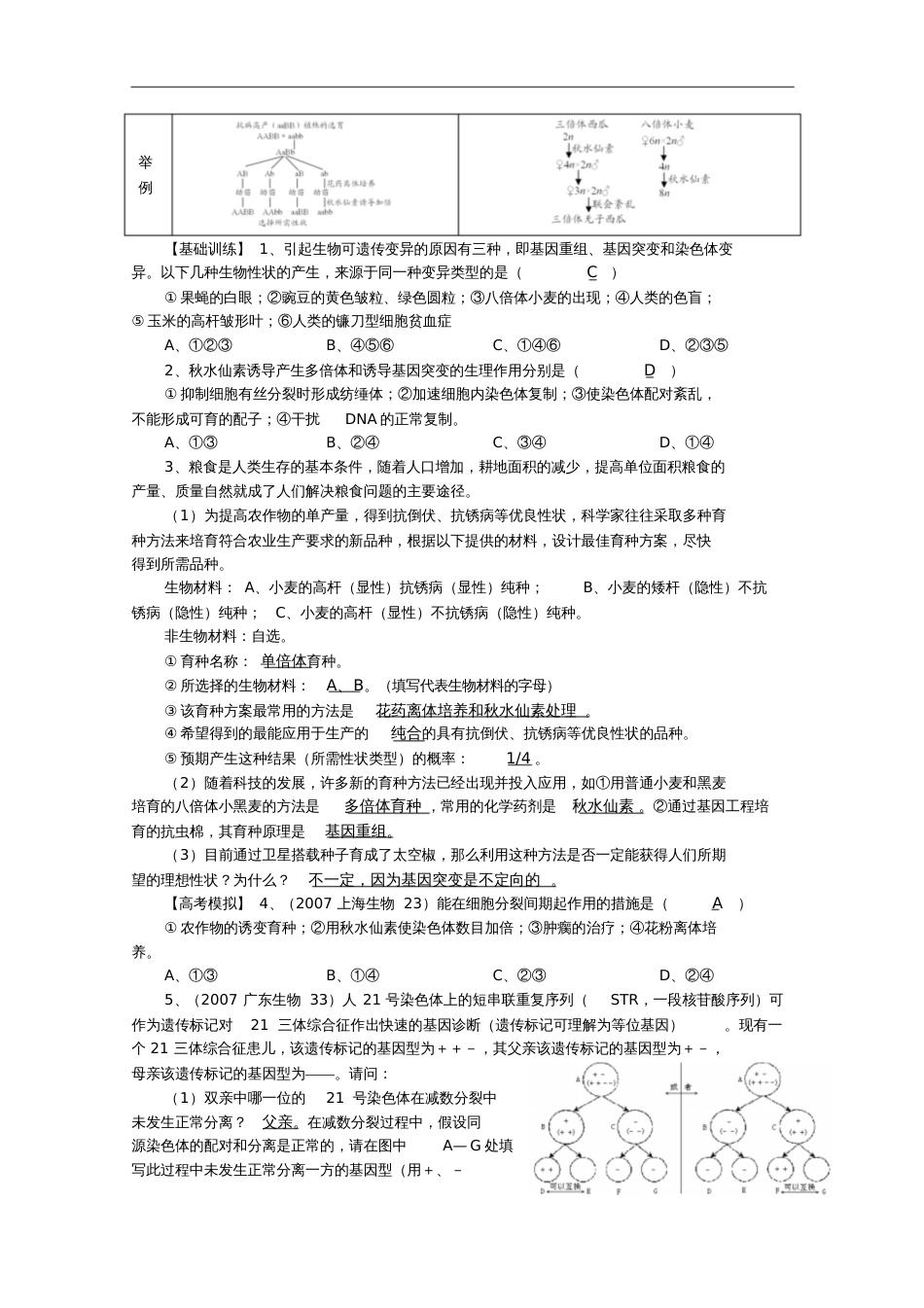 高中生物复习精讲精练三种可遗传变异的比较_第2页