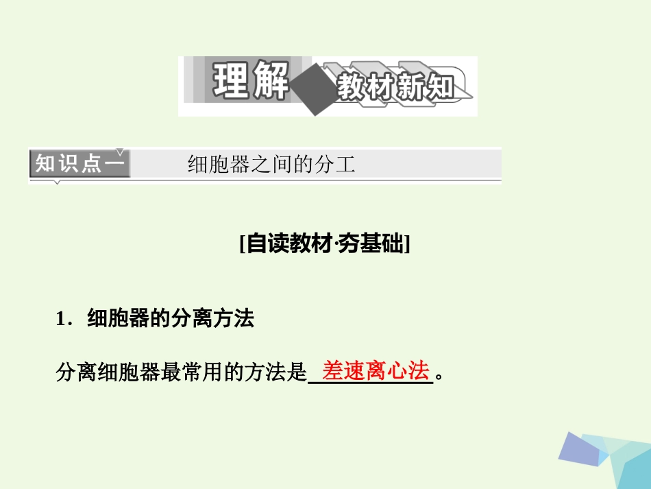 高中生物 第3章 细胞的基本结构 第节 细胞器——系统内的分工合作（第课时）细胞器之间的分工课件 新人教版必修_第2页