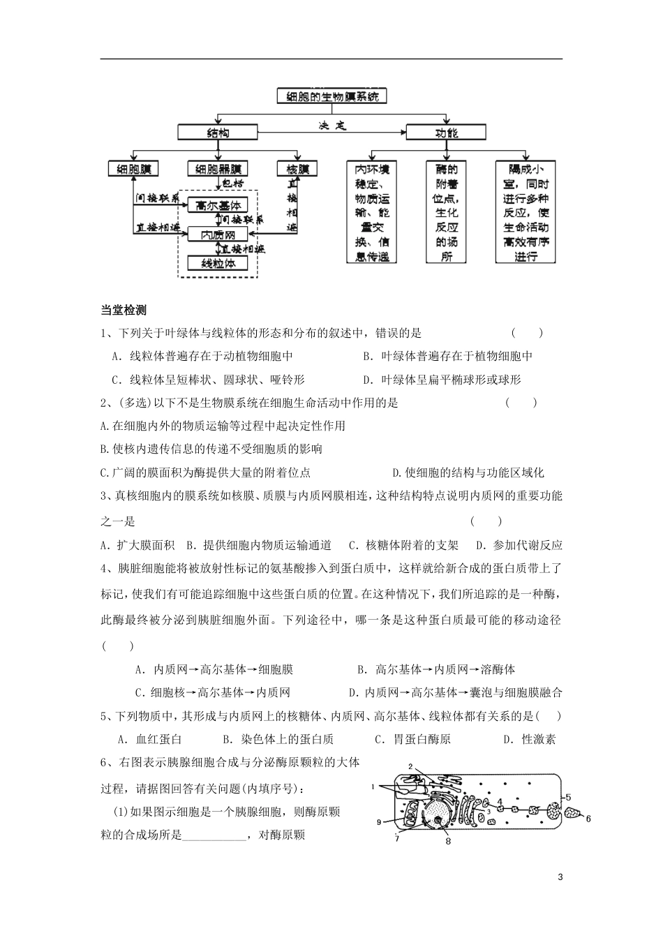 高中生物第三章细胞的基本结构细胞器系统内的分工导学案新人教必修_第3页