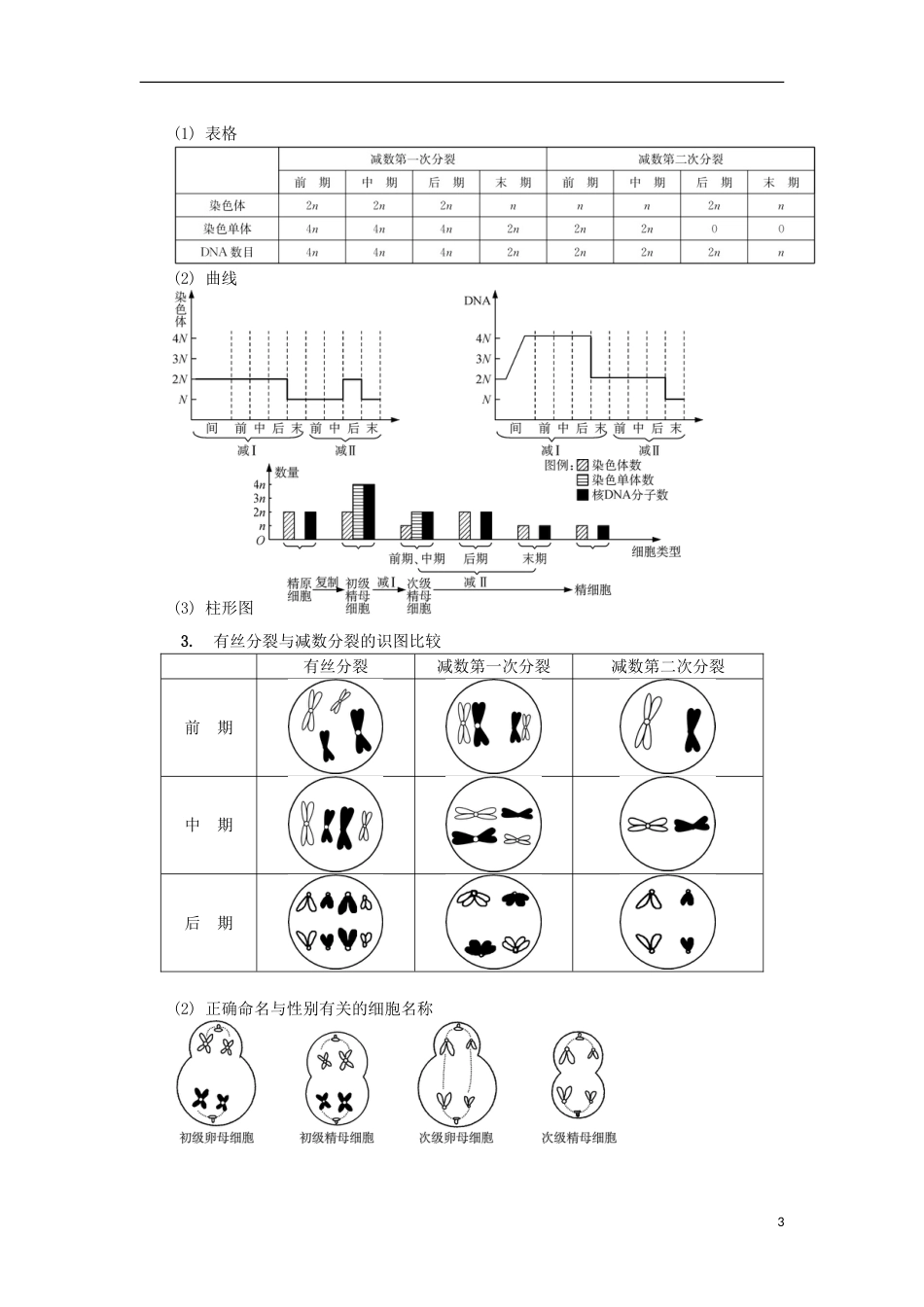 高中生物第十一讲减数分裂与配子形成学案苏教必修_第3页
