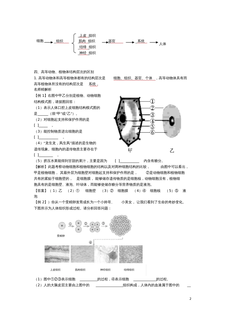 2017年中考生物专题二生物体的结构层次复习题北师大版_第2页