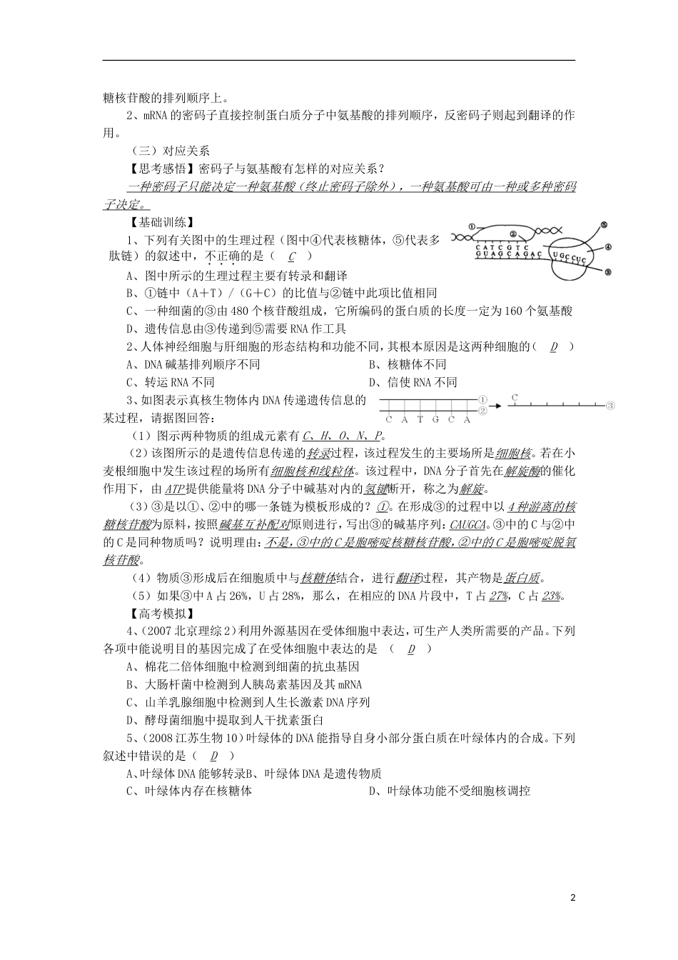 高中生物49基因的表达讲练中图版必修1_第2页