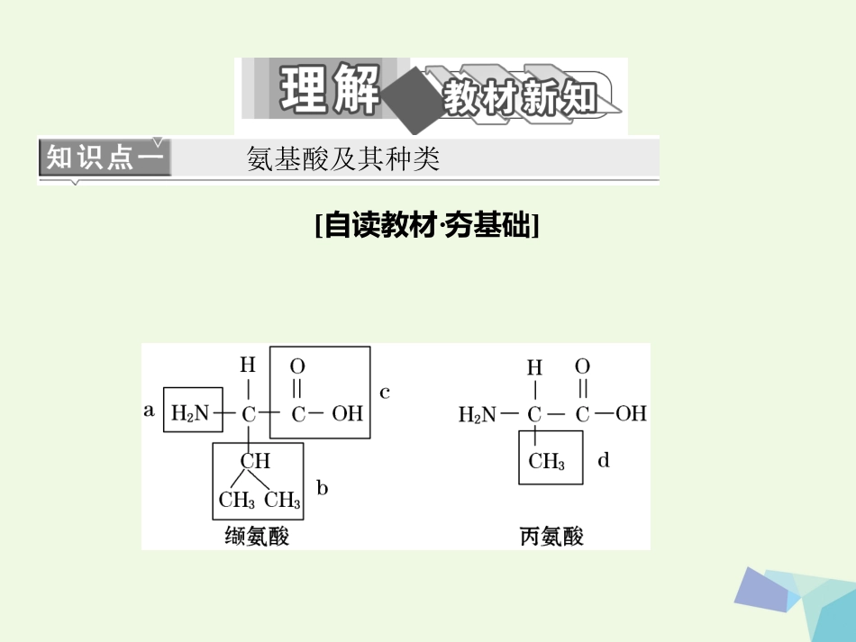 高中生物 第章 组成细胞的分子 第节 生命活动的主要承担者——蛋白质课件 新人教版必修_第2页