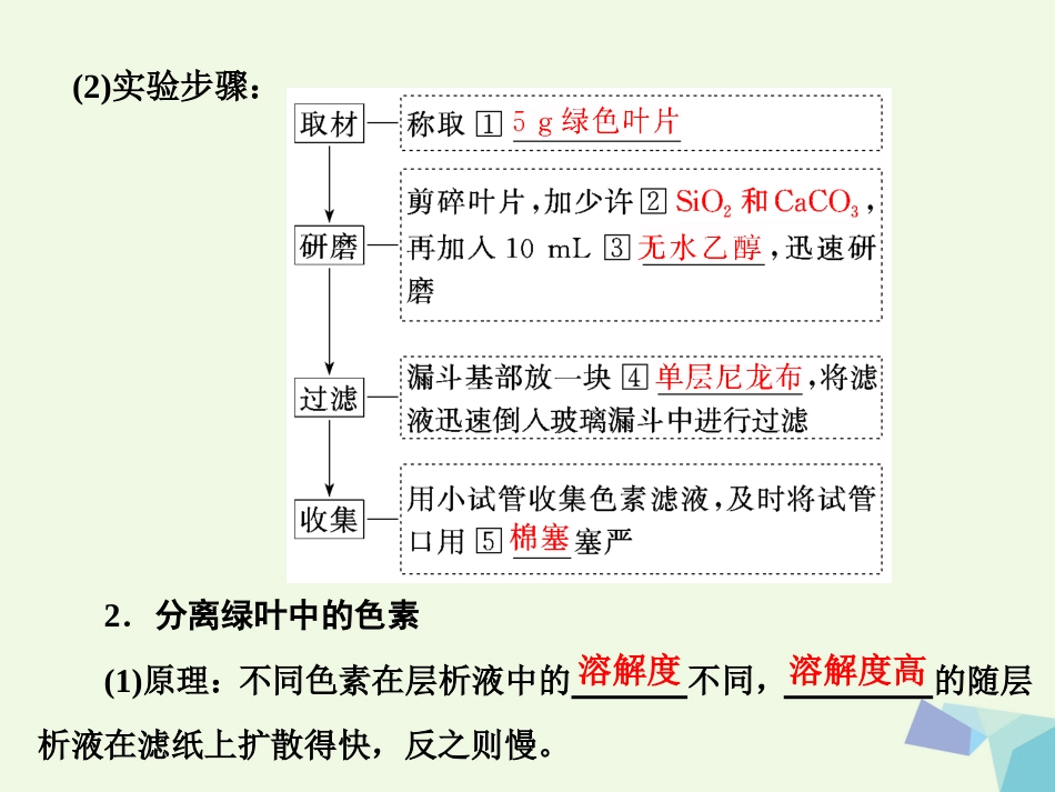 高中生物 第5章 细胞的能量供应和利用 第4节 能量之源——光与光合作用（第课时）捕获光能的色素和结构课件 新人教版必修_第3页