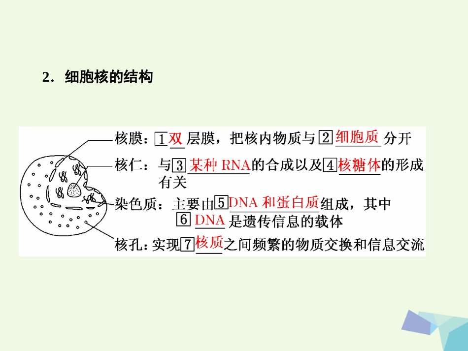 高中生物 第3章 细胞的基本结构 第3节 细胞核——系统的控制中心课件 新人教版必修_第3页