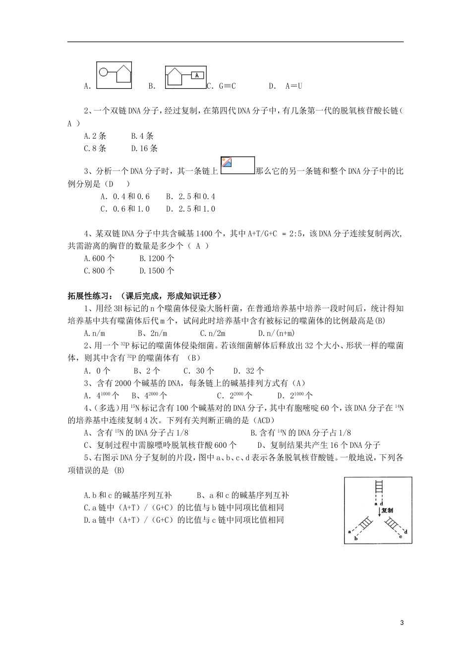 高中生物第二册第6章遗传住处的传递和表达6.2DNA复制和蛋白质合成学案2沪科版_第3页