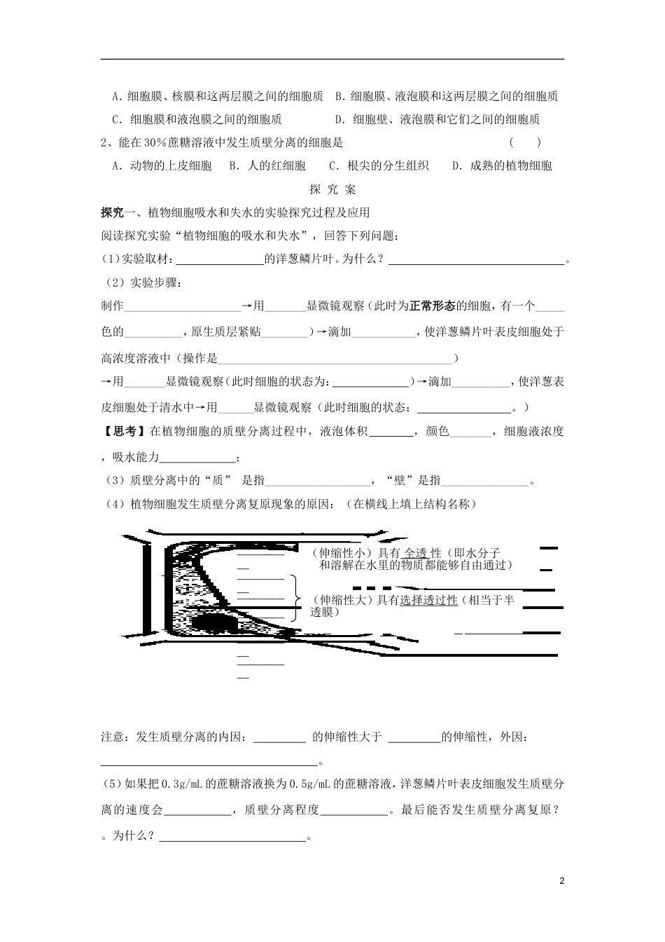 高中生物第四章细胞的物质输入和输出物质跨膜运输实例导学案新人教版必修_第2页