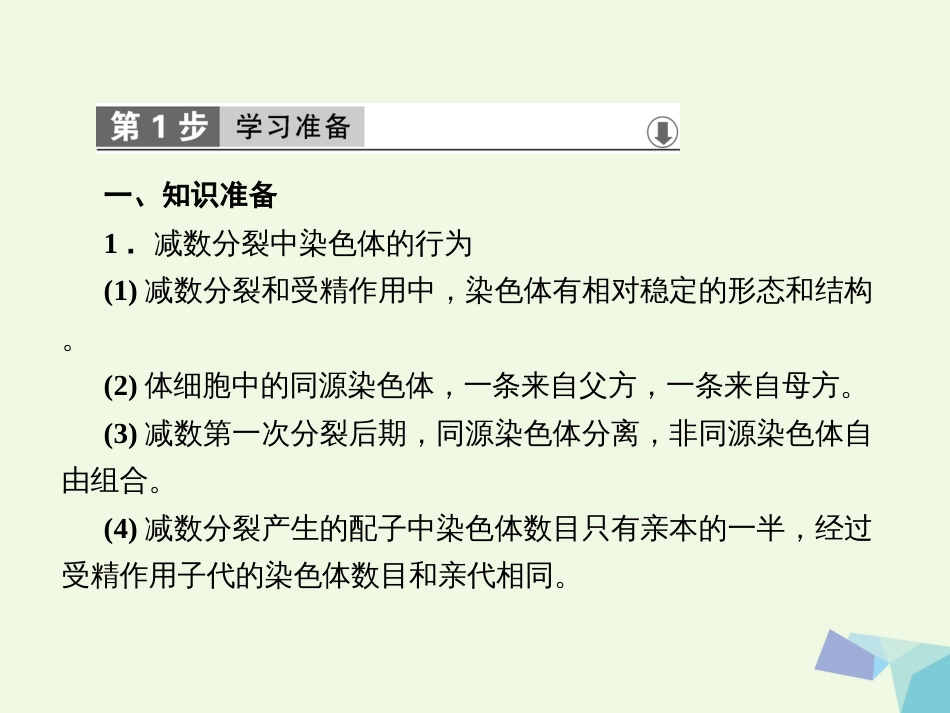 高中生物 第二章 基因和染色体的关系 第2节 基因在染色体上课件 新人教版必修_第2页