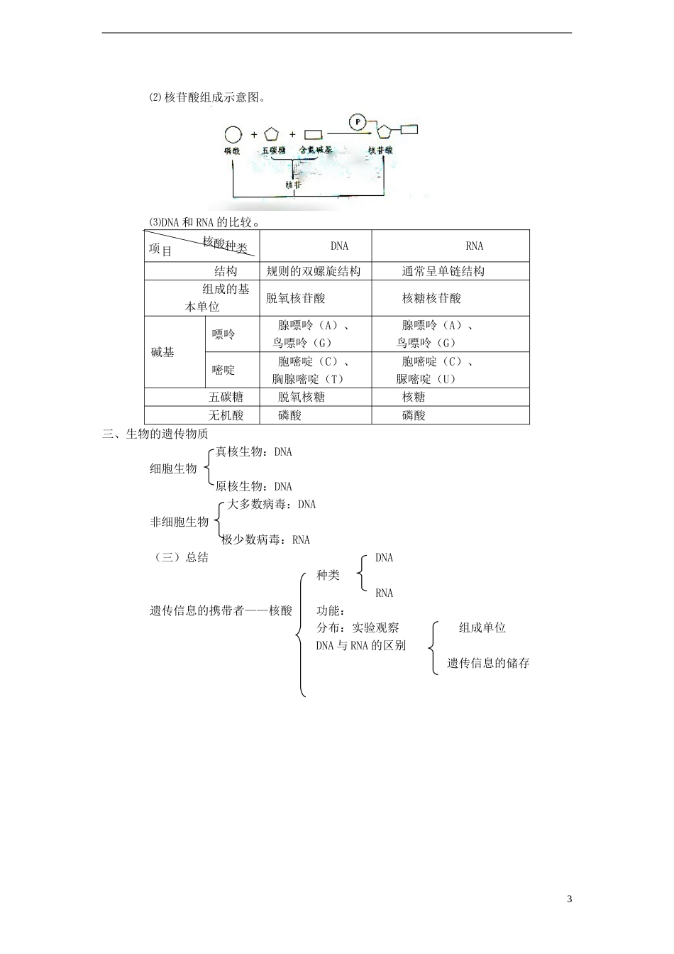 高中生物第二单元细胞的自我保障第二章细胞中的核酸第一节核酸的结构和功能教案中图版必修1_第3页