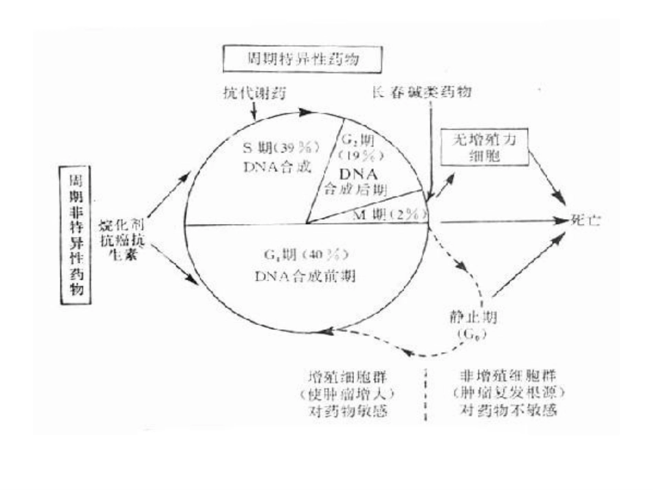 (70)--铂类化疗药浅析_第2页