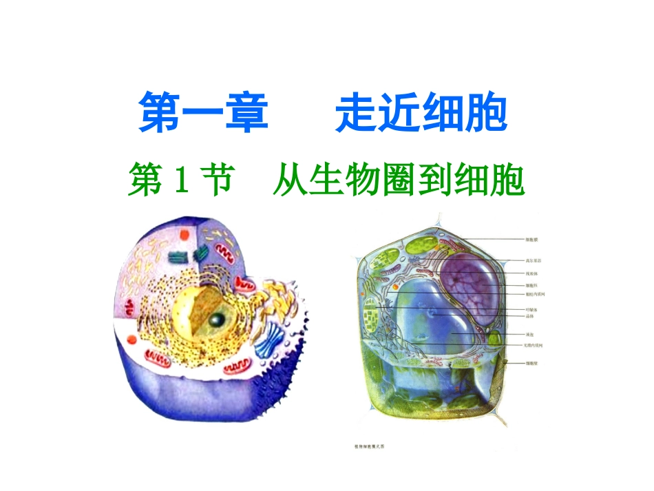 高一生物必修一课件[共530页]_第1页