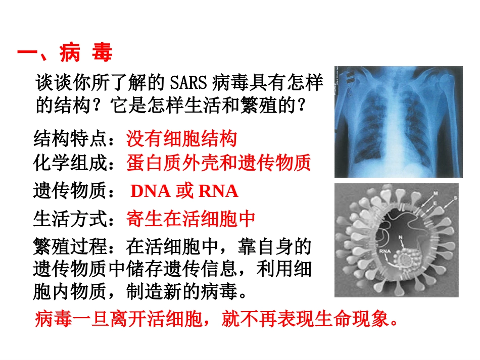 高一生物必修一课件[共530页]_第2页