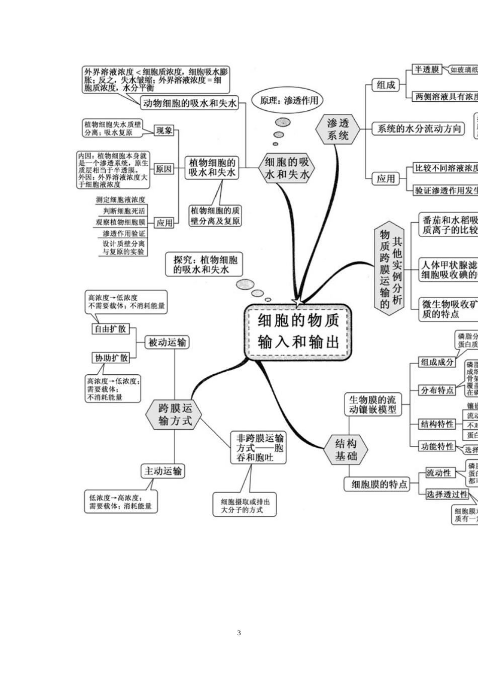 高中生物知识网络思维导图[共17页]_第3页