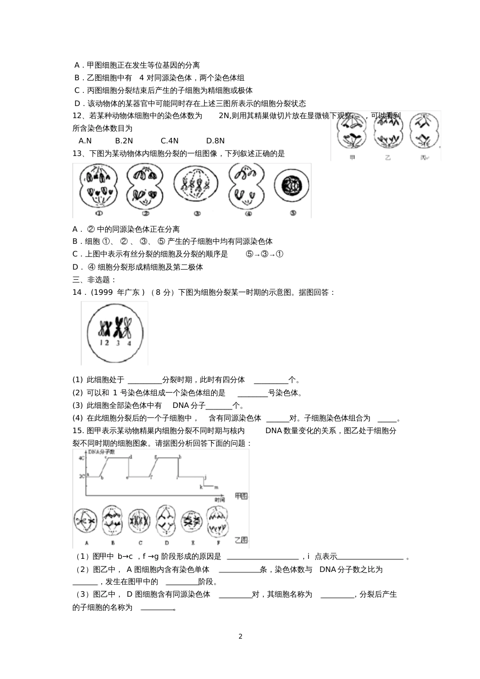 减数分裂同步练习题[共4页]_第2页