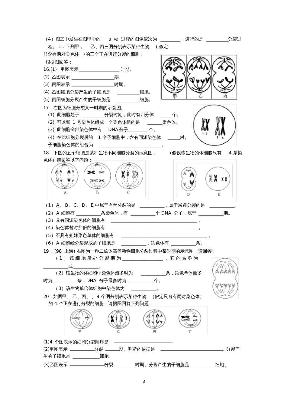 减数分裂同步练习题[共4页]_第3页