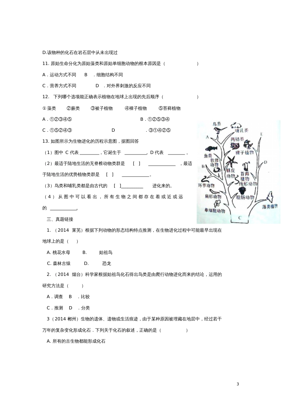 八年级生物下册7.3.2生物进化的历程练习(新版)新人教版_第3页