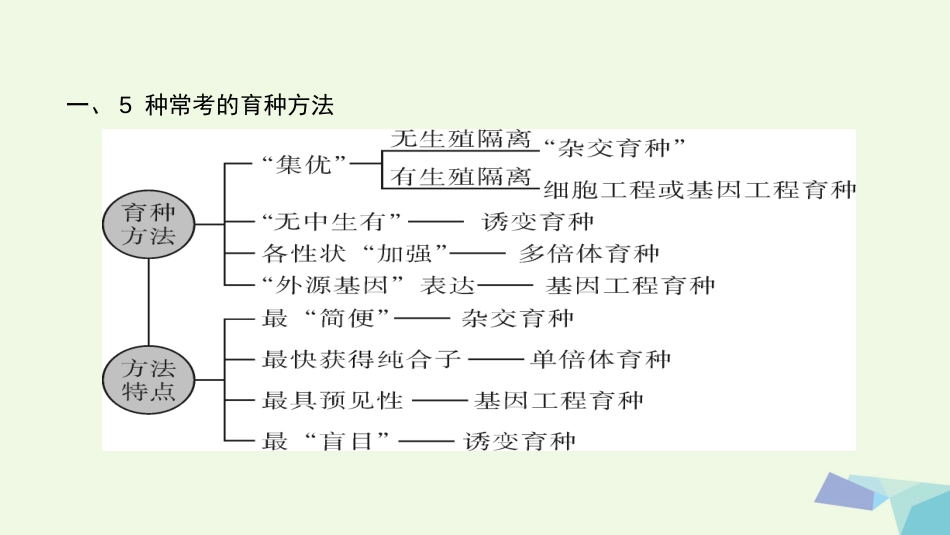 高考生物大一轮精讲复习 小专题八 各种生物育种过程的分析及选择课件[共15页]_第2页