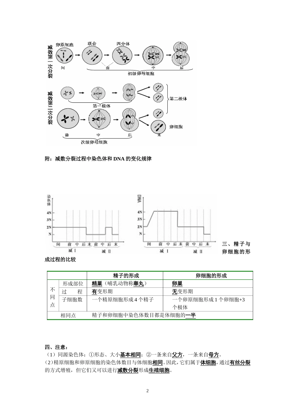 高中生物必修二知识点总结精华版[共9页]_第2页