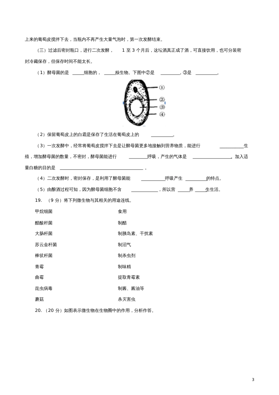 八年级生物上册第5单元微生物的生活单元测试(新版)冀教版_第3页