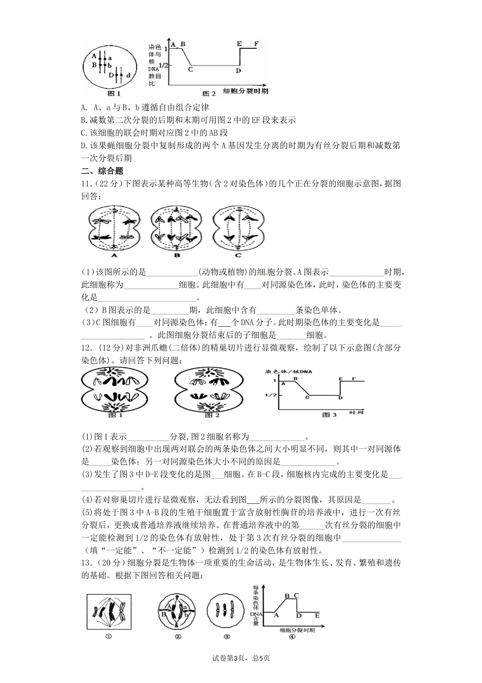 高中生物必修2第二章第1节减数分裂复习题[共9页]_第3页