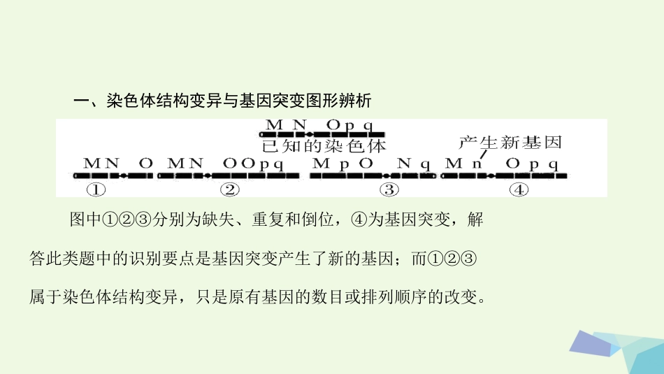 高考生物大一轮精讲复习 小专题七 生物变异的图形突破课件[共14页]_第2页