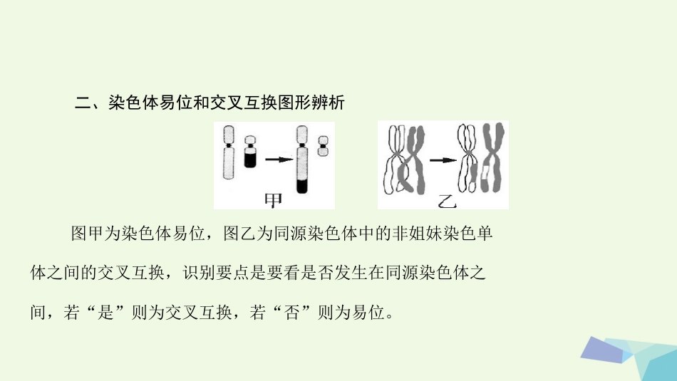 高考生物大一轮精讲复习 小专题七 生物变异的图形突破课件[共14页]_第3页