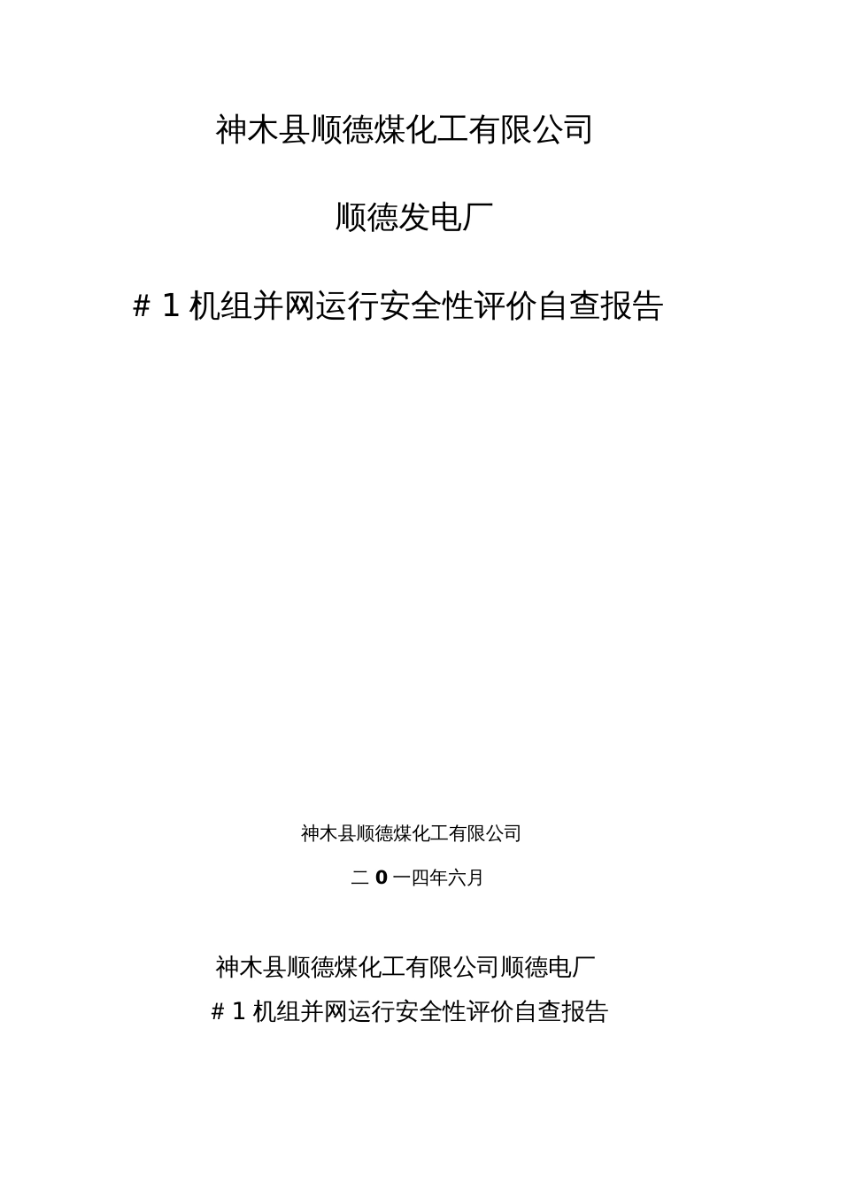 发电厂安评自查报告自查报告_第1页