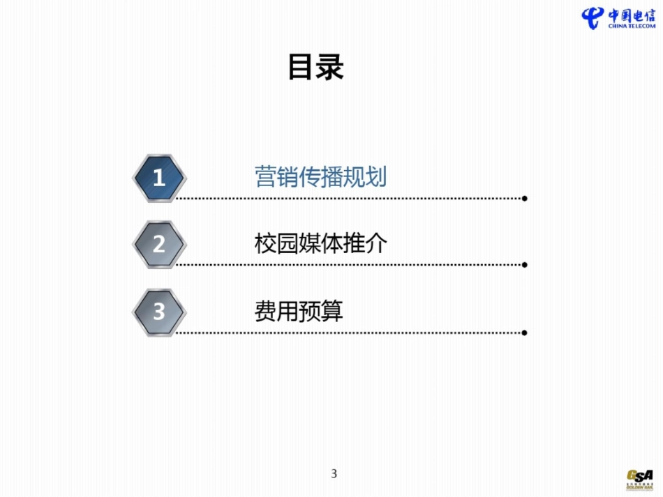 大学校园整合营销传播方案[共62页]_第3页