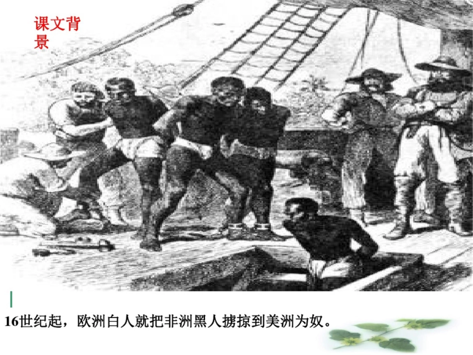 《我有一个梦想》课件_第1页