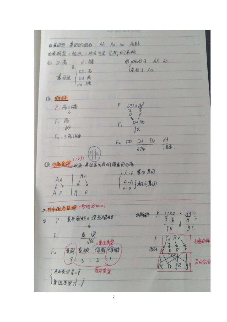 高中生物必修二详细笔记[共30页]_第2页