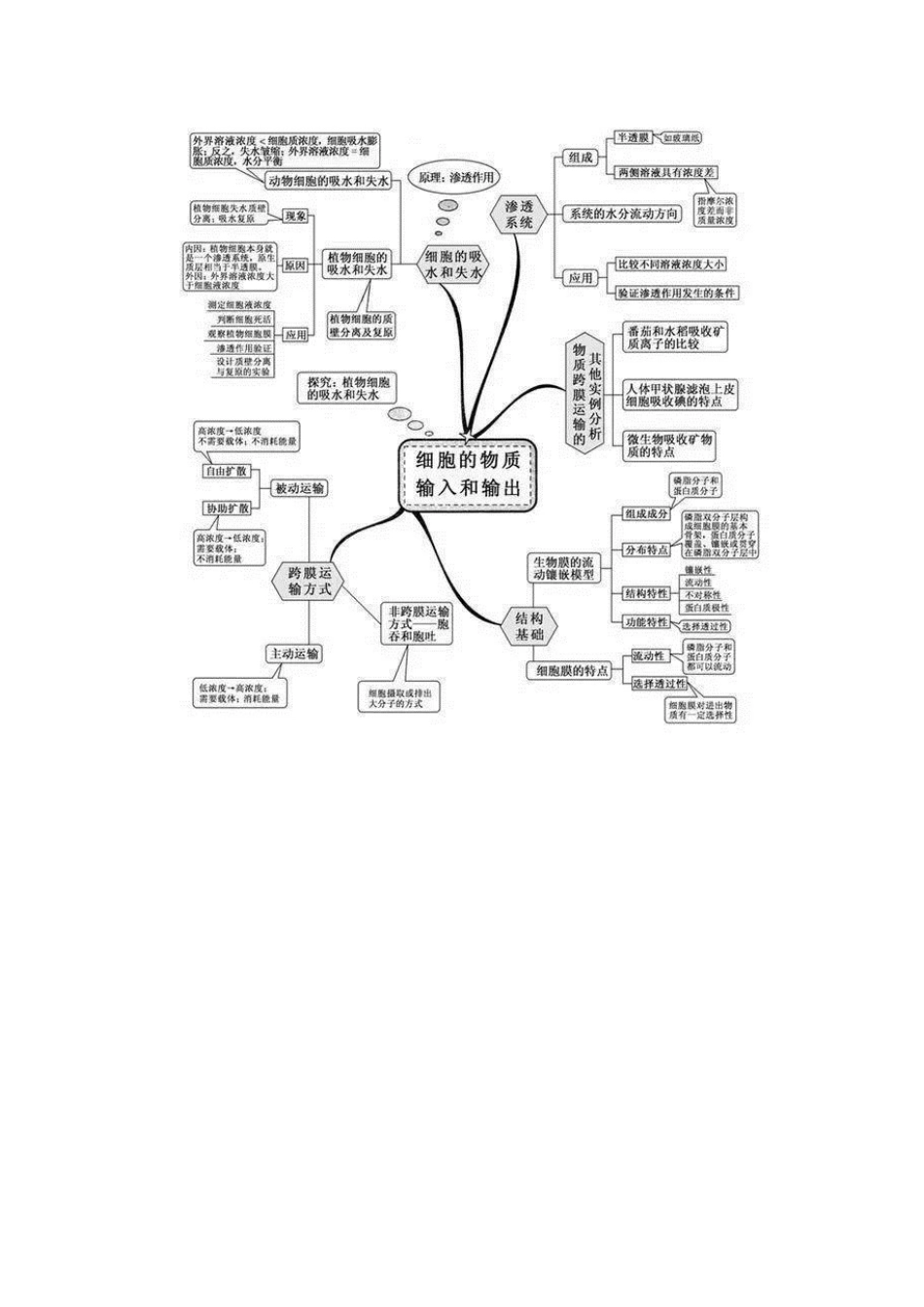 高中生物知识点思维导图[共17页]_第3页