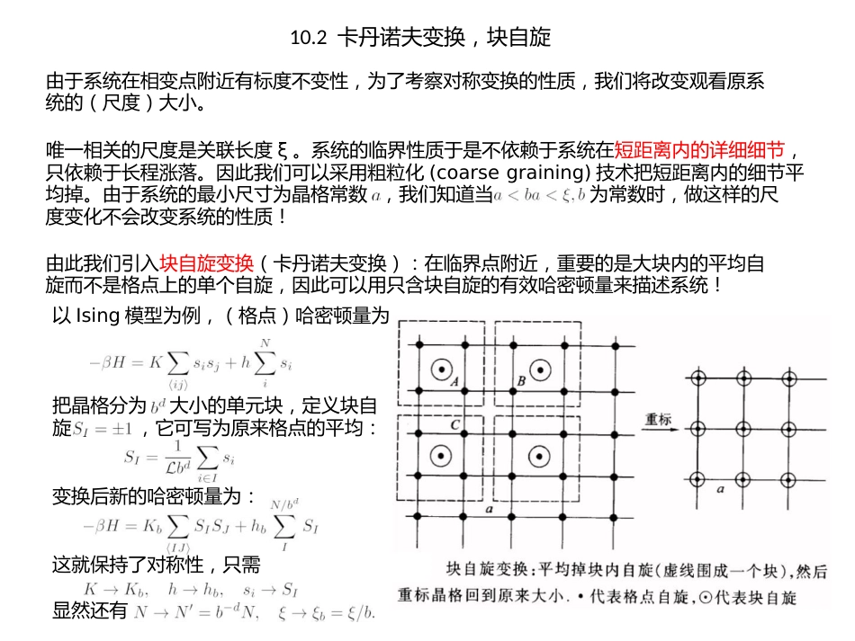 第十章重整化群理论_第2页