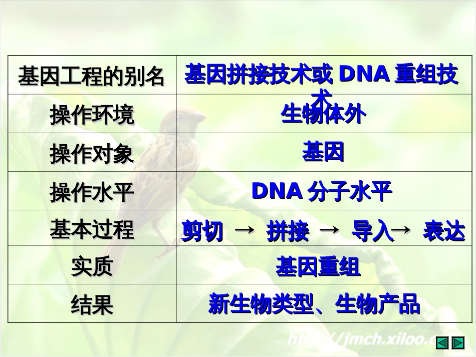 高中生物选修三专题复习[共199页]_第3页