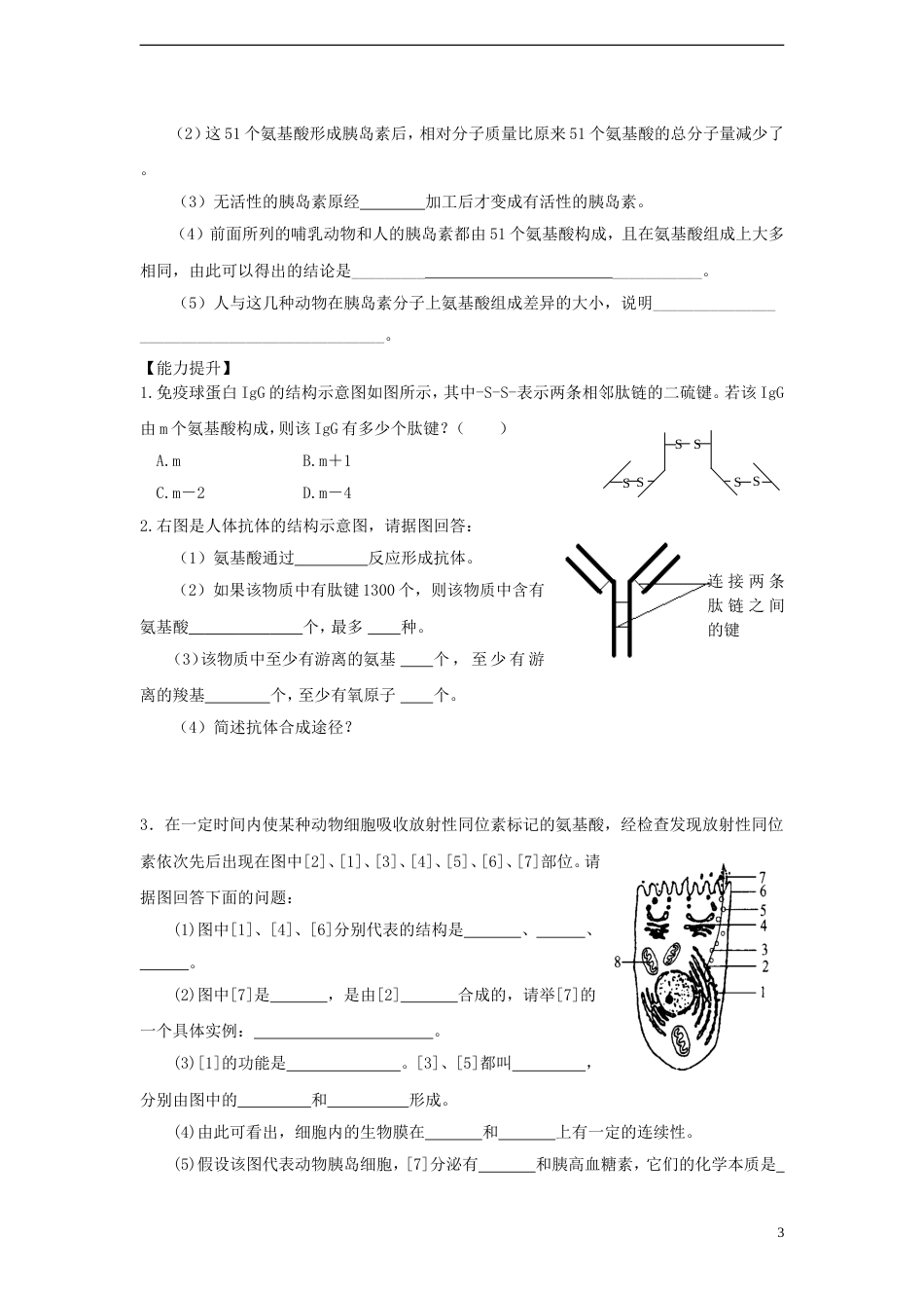 高中生物第二单元细胞的自我保障第一章细胞中的蛋白质第二节蛋白质的合成与运输教案中图版必修1[共4页]_第3页