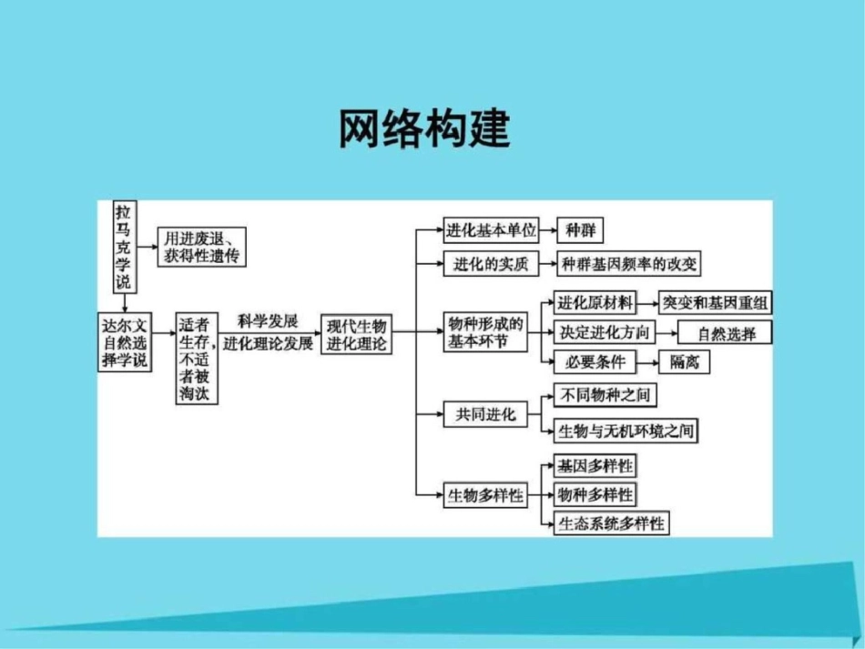 2019-2019学年高中生物第7章现代生物进化理论章末整.ppt_第3页