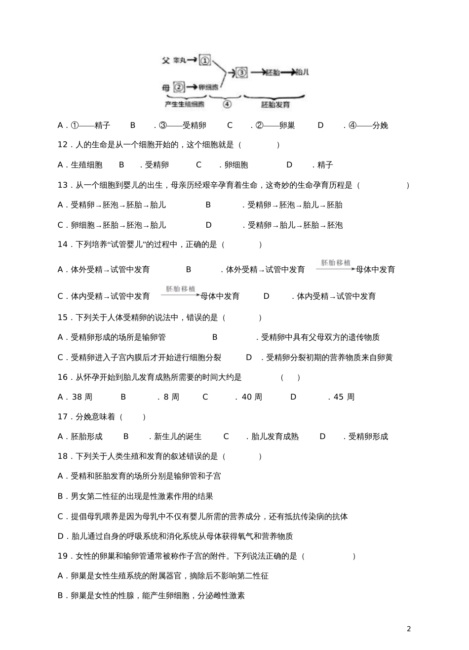 七年级生物下册1.2人的生殖同步训练(新版)新人教版_第2页