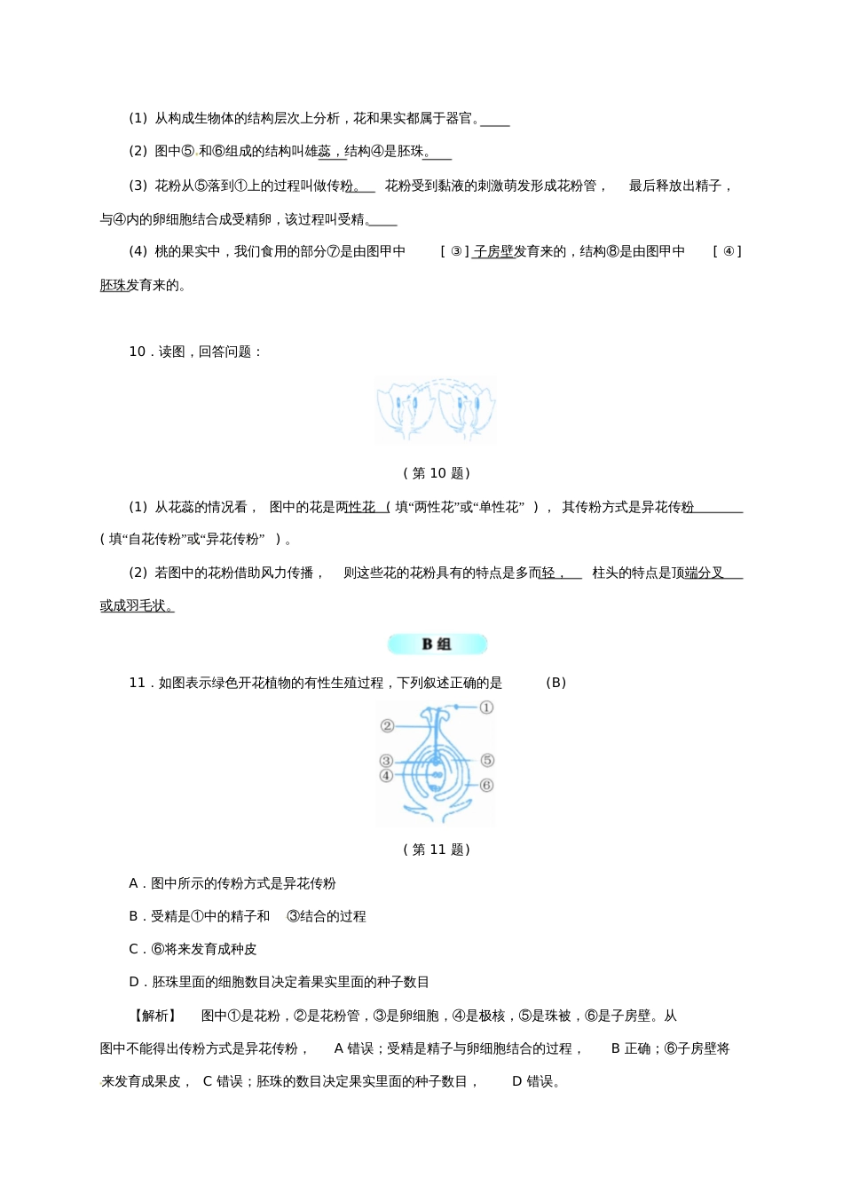 七年级科学下册1.5植物生殖方式的多样性(1)同步练习(新版)浙教版_第3页