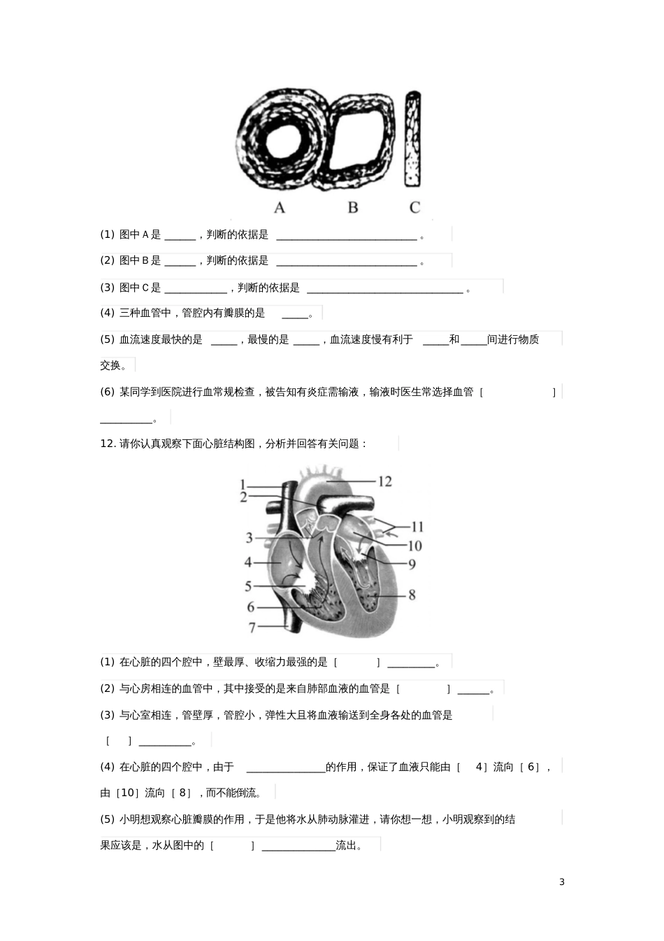 七年级生物下册3.3.2物质运输的器官课时达标练习(含解析)(新版)济南版_第3页