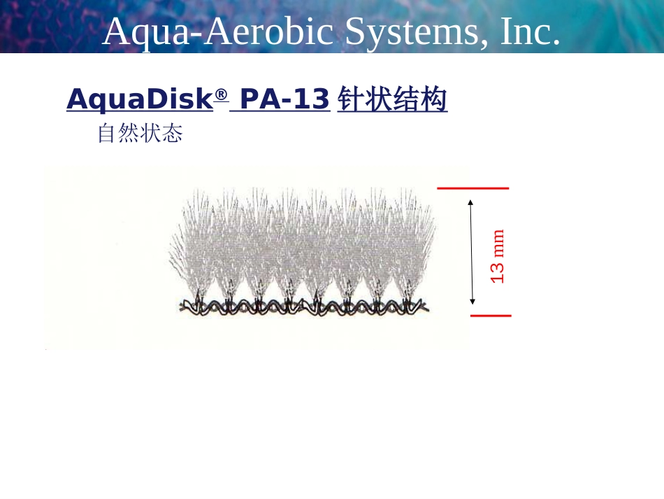 滤布滤池中文版工艺演示[共36页]_第3页