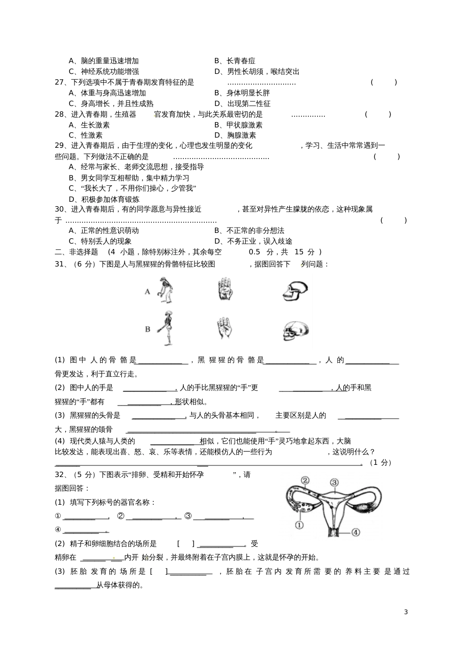 七年级生物下册4.1人的由来章末测试习题1(新版)新人教版_第3页