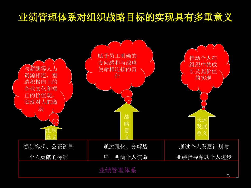 麦肯锡—中粮业绩管理咨询报告（134P）[共134页]_第3页