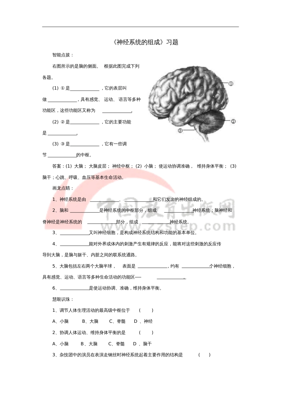 七年级生物下册4.6.2神经系统的组成课堂习题(无答案)(新版)新人教版_第1页