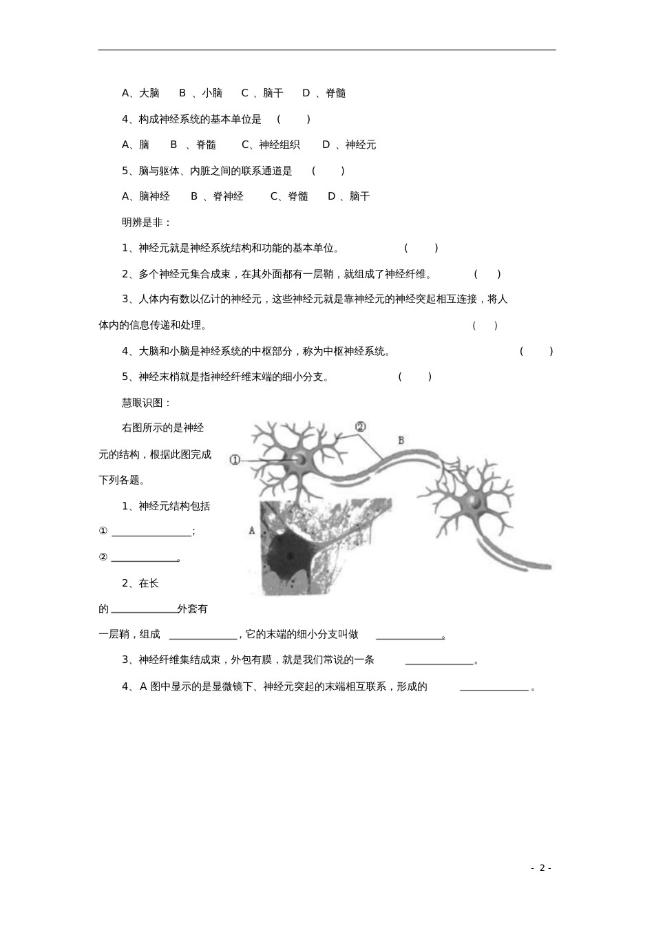 七年级生物下册4.6.2神经系统的组成课堂习题(无答案)(新版)新人教版_第2页