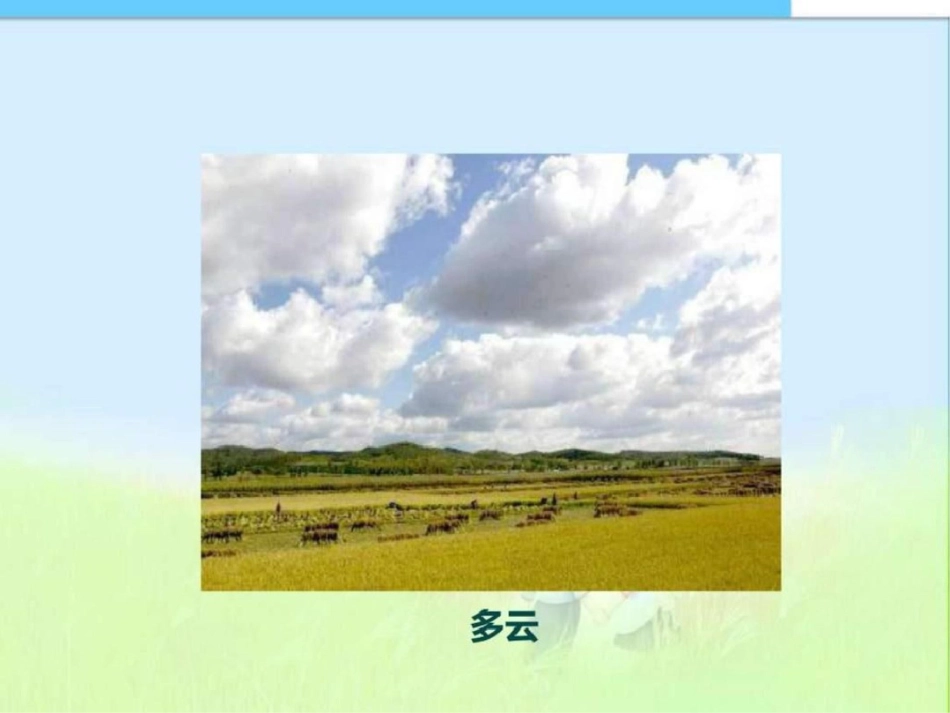 2019-2019年最新教科版小学四年级科学上册四上12天气_第3页