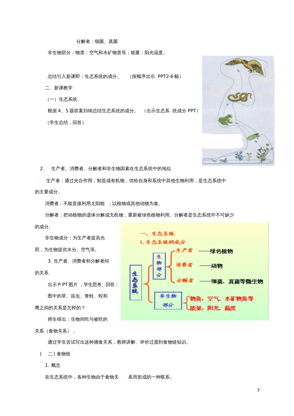 九年级科学下册2.4生态系统的结构和功能教案(新版)浙教版_第3页